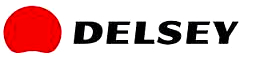 DELSEY Logo