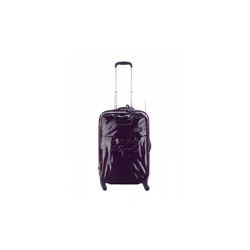 max luggage size international